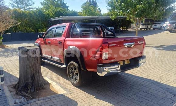 Acheter Occasion Voiture Toyota Hilux Rouge à Windhoek, Namibie Acheter Occasion Voiture Toyota Hilux Rouge à Windhoek, Namibie