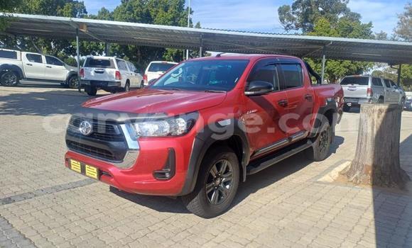 Buy Used Toyota Hilux Red Car in Windhoek in Namibia Buy Used Toyota Hilux Red Car in Windhoek in Namibia