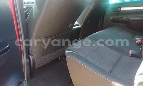 Buy Used Toyota Hilux Red Car in Windhoek in Namibia Buy Used Toyota Hilux Red Car in Windhoek in Namibia