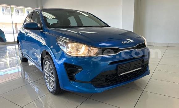 Buy Used Kia Rio Blue Car in Windhoek in Namibia