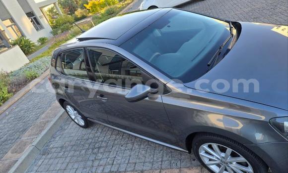 Buy Used Volkswagen Polo Silver Car in Windhoek in Namibia Buy Used Volkswagen Polo Silver Car in Windhoek in Namibia