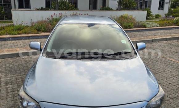 Buy Used Toyota Corolla Blue Car in Windhoek in Namibia Buy Used Toyota Corolla Blue Car in Windhoek in Namibia
