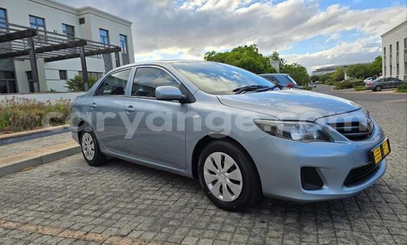 Buy Used Toyota Corolla Blue Car in Windhoek in Namibia Buy Used Toyota Corolla Blue Car in Windhoek in Namibia