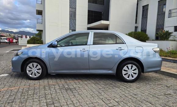 Buy Used Toyota Corolla Blue Car in Windhoek in Namibia Buy Used Toyota Corolla Blue Car in Windhoek in Namibia
