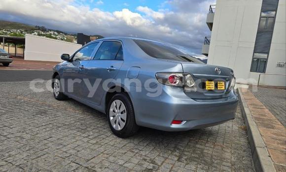Buy Used Toyota Corolla Blue Car in Windhoek in Namibia Buy Used Toyota Corolla Blue Car in Windhoek in Namibia
