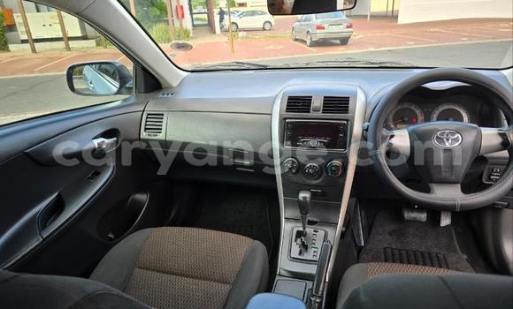 Buy Used Toyota Corolla Blue Car in Windhoek in Namibia Buy Used Toyota Corolla Blue Car in Windhoek in Namibia