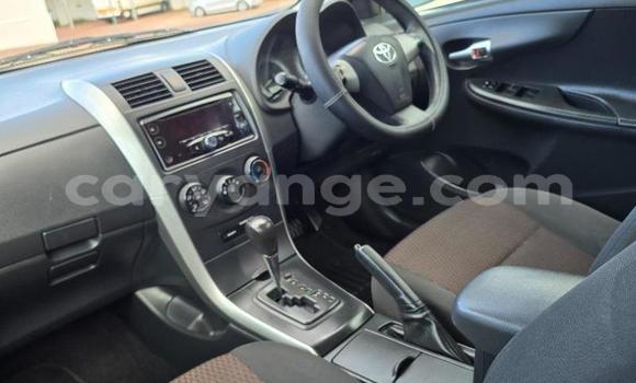 Buy Used Toyota Corolla Blue Car in Windhoek in Namibia Buy Used Toyota Corolla Blue Car in Windhoek in Namibia