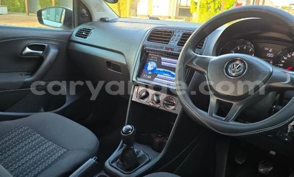 Buy Used Volkswagen Polo White Car in Windhoek in Namibia Buy Used Volkswagen Polo White Car in Windhoek in Namibia