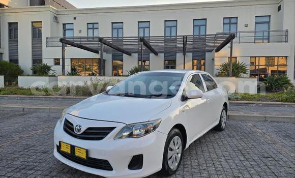 Buy Used Toyota Corolla White Car in Windhoek in Namibia