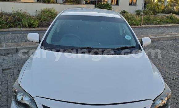 Buy Used Toyota Corolla White Car in Windhoek in Namibia Buy Used Toyota Corolla White Car in Windhoek in Namibia