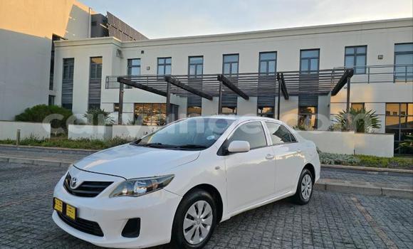 Buy Used Toyota Corolla White Car in Windhoek in Namibia Buy Used Toyota Corolla White Car in Windhoek in Namibia