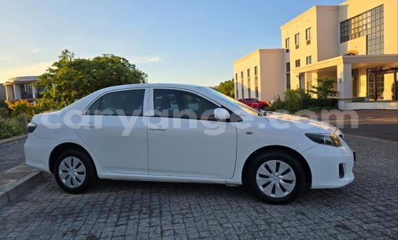 Buy Used Toyota Corolla White Car in Windhoek in Namibia Buy Used Toyota Corolla White Car in Windhoek in Namibia