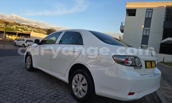 Buy Used Toyota Corolla White Car in Windhoek in Namibia Buy Used Toyota Corolla White Car in Windhoek in Namibia