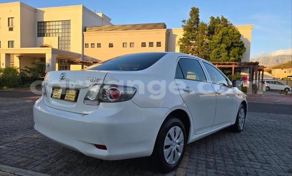 Buy Used Toyota Corolla White Car in Windhoek in Namibia Buy Used Toyota Corolla White Car in Windhoek in Namibia