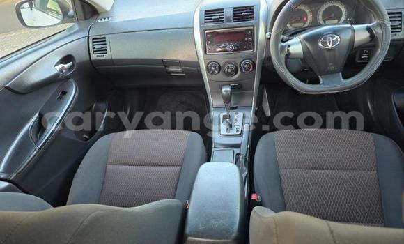 Buy Used Toyota Corolla White Car in Windhoek in Namibia Buy Used Toyota Corolla White Car in Windhoek in Namibia