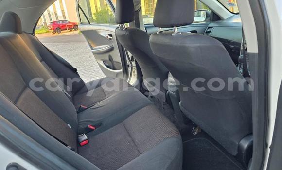 Buy Used Toyota Corolla White Car in Windhoek in Namibia Buy Used Toyota Corolla White Car in Windhoek in Namibia