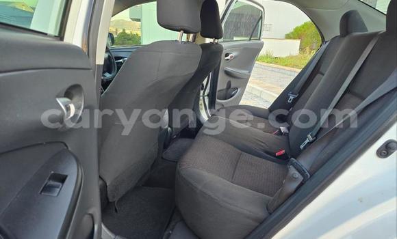 Buy Used Toyota Corolla White Car in Windhoek in Namibia Buy Used Toyota Corolla White Car in Windhoek in Namibia