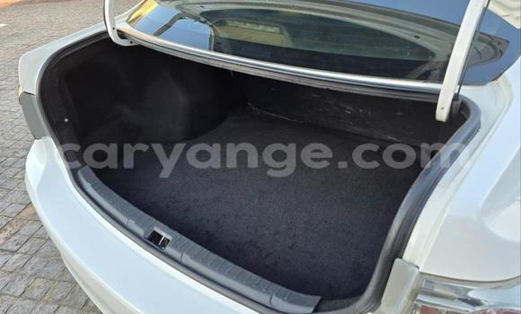 Buy Used Toyota Corolla White Car in Windhoek in Namibia Buy Used Toyota Corolla White Car in Windhoek in Namibia