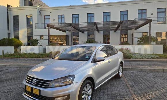 Buy Used Volkswagen Polo Silver Car in Windhoek in Namibia