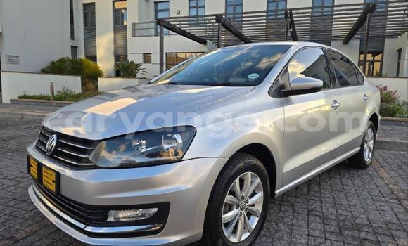 Buy Used Volkswagen Polo Silver Car in Windhoek in Namibia Buy Used Volkswagen Polo Silver Car in Windhoek in Namibia