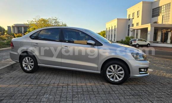 Buy Used Volkswagen Polo Silver Car in Windhoek in Namibia Buy Used Volkswagen Polo Silver Car in Windhoek in Namibia