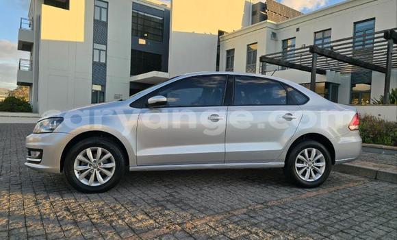 Buy Used Volkswagen Polo Silver Car in Windhoek in Namibia Buy Used Volkswagen Polo Silver Car in Windhoek in Namibia