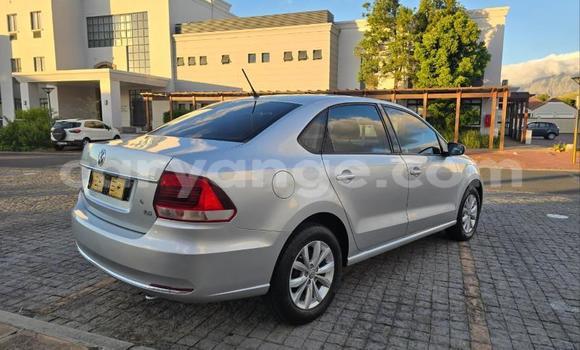 Buy Used Volkswagen Polo Silver Car in Windhoek in Namibia Buy Used Volkswagen Polo Silver Car in Windhoek in Namibia