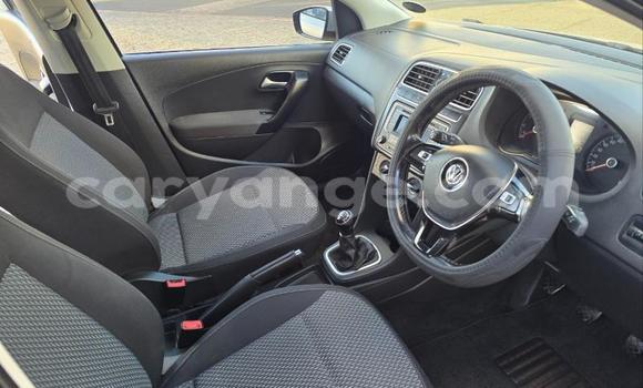Buy Used Volkswagen Polo Silver Car in Windhoek in Namibia Buy Used Volkswagen Polo Silver Car in Windhoek in Namibia