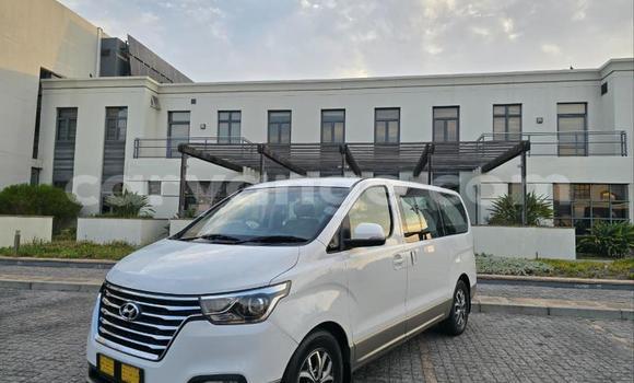 Buy Used Hyundai H1 White Car in Katima Mulilo in Caprivi