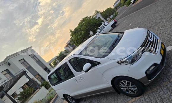 Buy Used Hyundai H1 White Car in Katima Mulilo in Caprivi Buy Used Hyundai H1 White Car in Katima Mulilo in Caprivi
