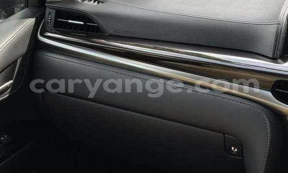 Buy Used Lexus LX White Car in Windhoek in Namibia Buy Used Lexus LX White Car in Windhoek in Namibia