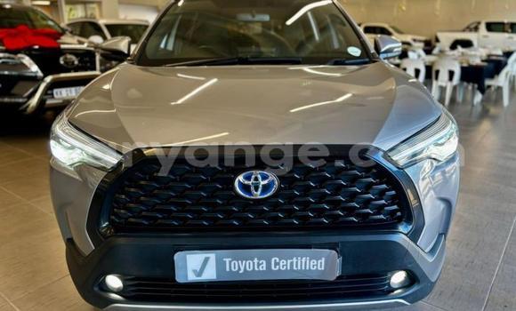 Buy Used Toyota Corolla Cross Silver Car in Katima Mulilo in Caprivi Buy Used Toyota Corolla Cross Silver Car in Katima Mulilo in Caprivi