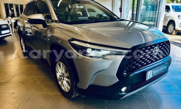 Buy Used Toyota Corolla Cross Silver Car in Katima Mulilo in Caprivi Buy Used Toyota Corolla Cross Silver Car in Katima Mulilo in Caprivi