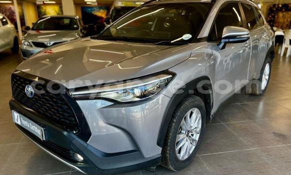 Buy Used Toyota Corolla Cross Silver Car in Katima Mulilo in Caprivi Buy Used Toyota Corolla Cross Silver Car in Katima Mulilo in Caprivi