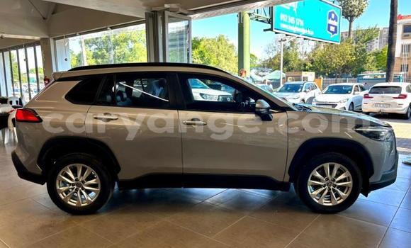 Buy Used Toyota Corolla Cross Silver Car in Katima Mulilo in Caprivi Buy Used Toyota Corolla Cross Silver Car in Katima Mulilo in Caprivi