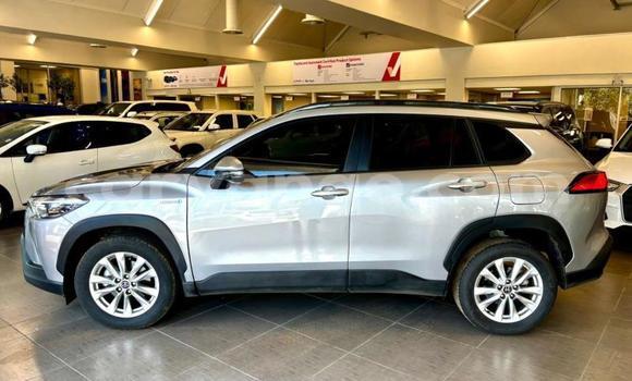Buy Used Toyota Corolla Cross Silver Car in Katima Mulilo in Caprivi Buy Used Toyota Corolla Cross Silver Car in Katima Mulilo in Caprivi