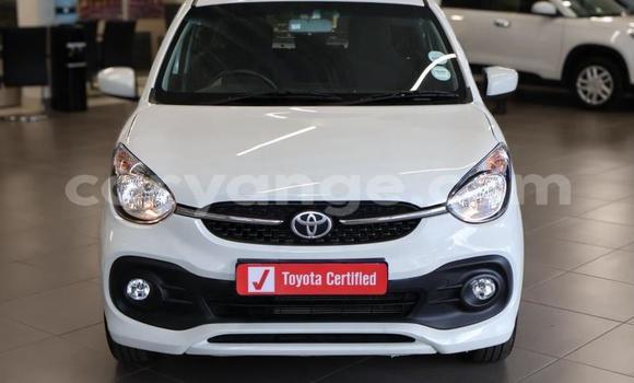 Buy Used Toyota Vitz White Car in Katima Mulilo in Caprivi Buy Used Toyota Vitz White Car in Katima Mulilo in Caprivi