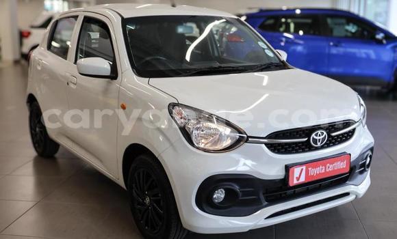 Buy Used Toyota Vitz White Car in Katima Mulilo in Caprivi Buy Used Toyota Vitz White Car in Katima Mulilo in Caprivi