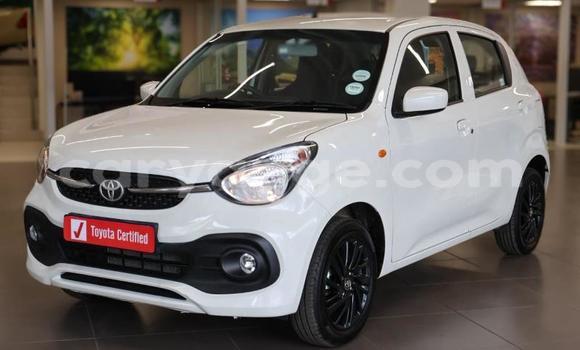 Buy Used Toyota Vitz White Car in Katima Mulilo in Caprivi Buy Used Toyota Vitz White Car in Katima Mulilo in Caprivi