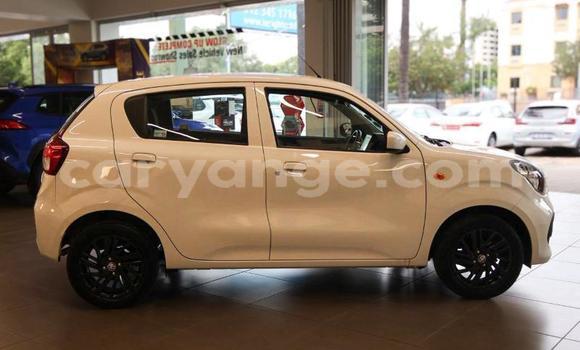 Buy Used Toyota Vitz White Car in Katima Mulilo in Caprivi Buy Used Toyota Vitz White Car in Katima Mulilo in Caprivi