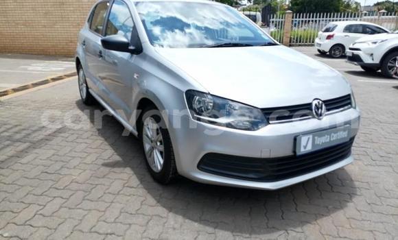 Buy Used Volkswagen Polo Silver Car in Katima Mulilo in Caprivi Buy Used Volkswagen Polo Silver Car in Katima Mulilo in Caprivi