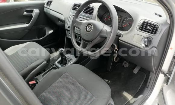 Buy Used Volkswagen Polo Silver Car in Katima Mulilo in Caprivi Buy Used Volkswagen Polo Silver Car in Katima Mulilo in Caprivi
