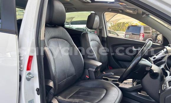 Buy Used Hyundai Ix35 White Car in Gobabis in Omaheke Buy Used Hyundai Ix35 White Car in Gobabis in Omaheke