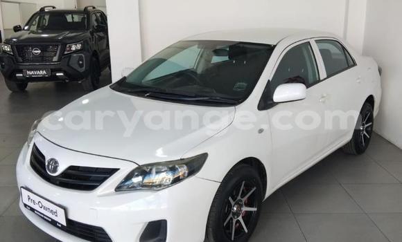 Buy Used Toyota Corolla White Car in Gobabis in Omaheke