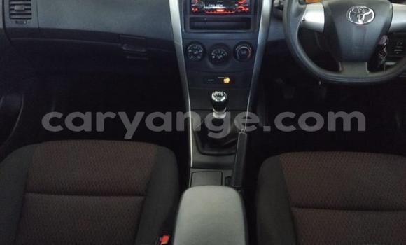 Buy Used Toyota Corolla White Car in Gobabis in Omaheke Buy Used Toyota Corolla White Car in Gobabis in Omaheke