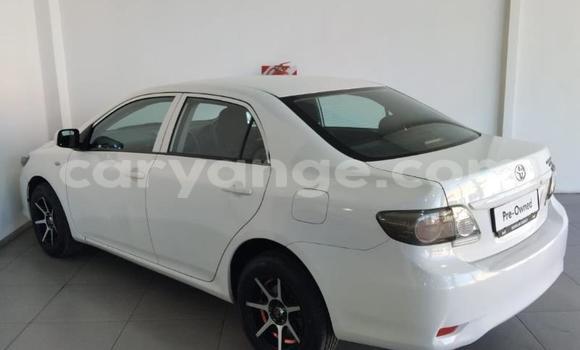 Buy Used Toyota Corolla White Car in Gobabis in Omaheke Buy Used Toyota Corolla White Car in Gobabis in Omaheke