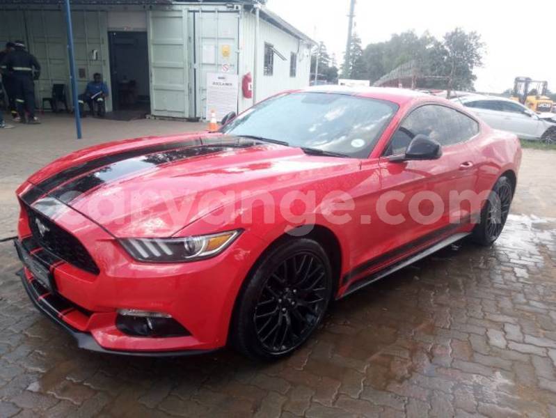 Big with watermark ford mustang namibia windhoek 24970