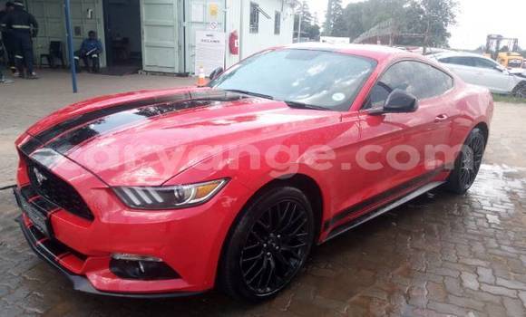 Buy Used FORD MUSTANG Red Car in Windhoek in Namibia Buy Used FORD MUSTANG Red Car in Windhoek in Namibia