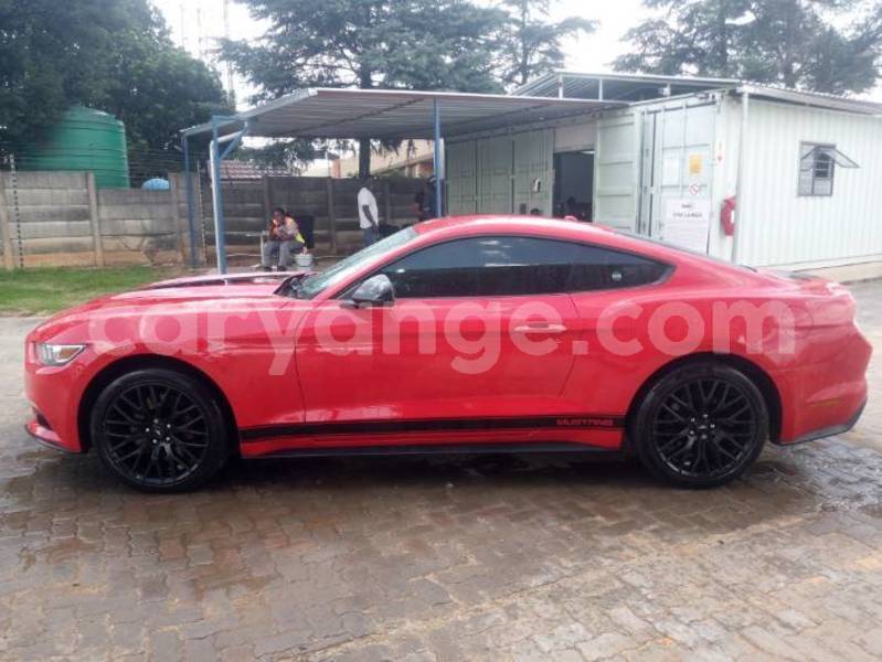 Big with watermark ford mustang namibia windhoek 24970