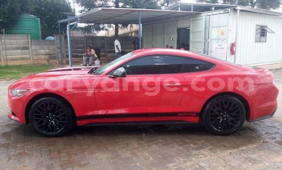 Buy Used FORD MUSTANG Red Car in Windhoek in Namibia Buy Used FORD MUSTANG Red Car in Windhoek in Namibia